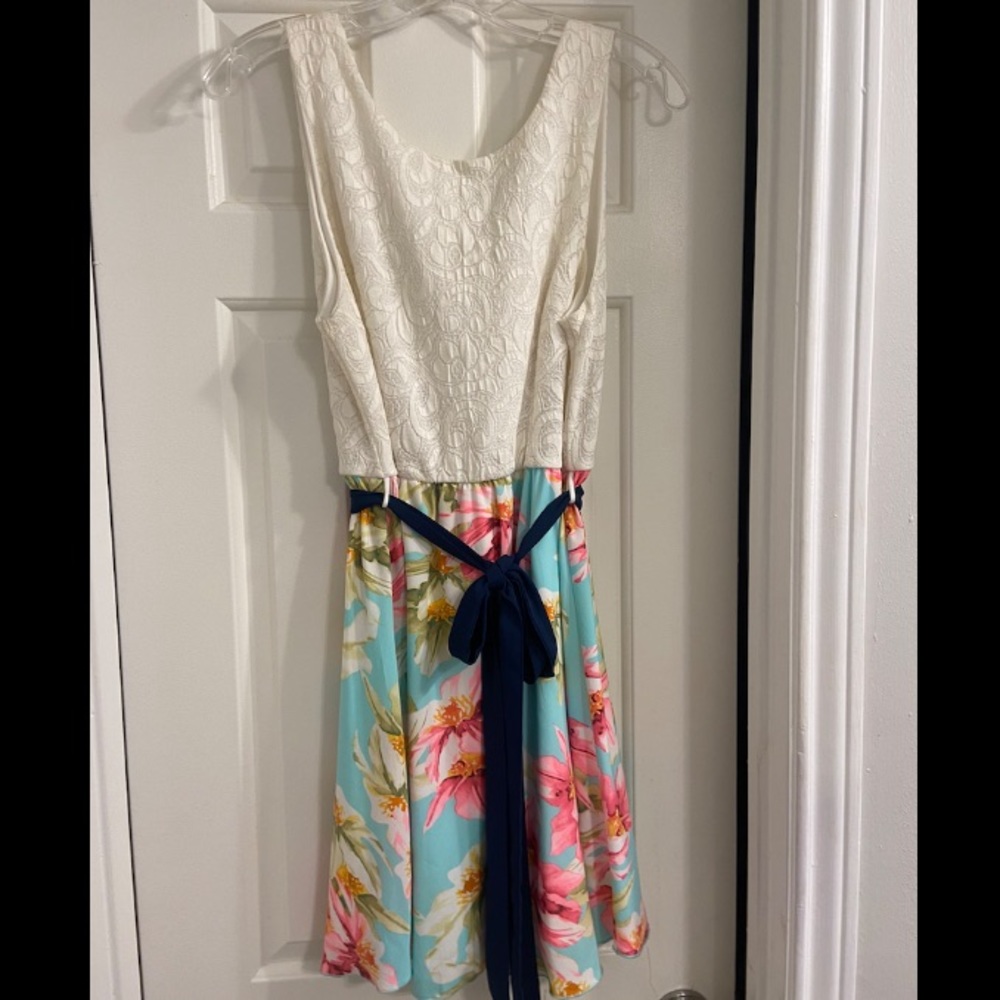 Pink Lily Boutique Dress